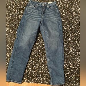 American Eagle Outfitters Curvy Mom Straight Leg Jeans
